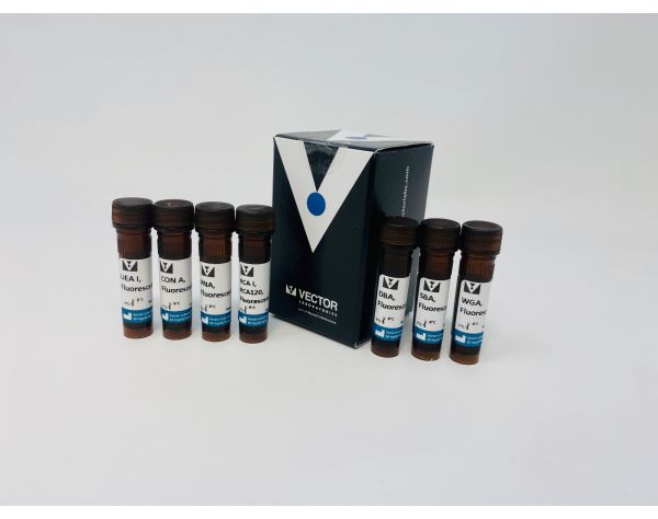 Lectin Kit I, Fluorescein