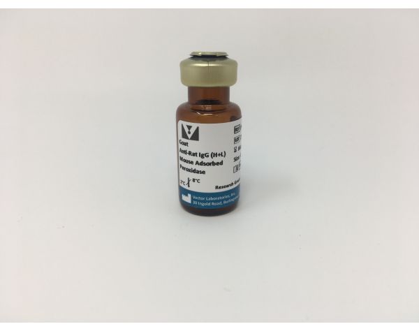 Goat Anti-Rat IgG, Mouse Adsorbed, Antibody (H+L), Peroxidase