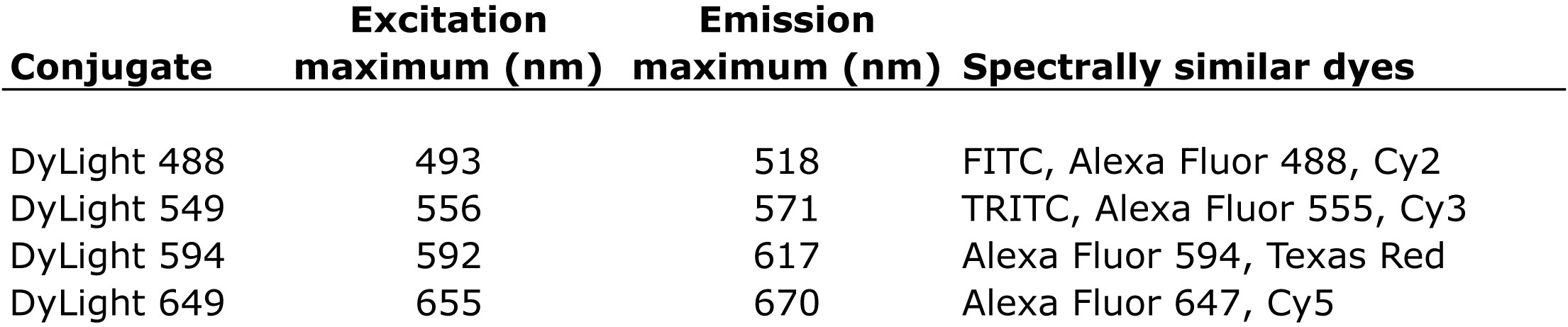 Goat Anti-Rabbit IgG Antibody (H+L), DyLight? 488
