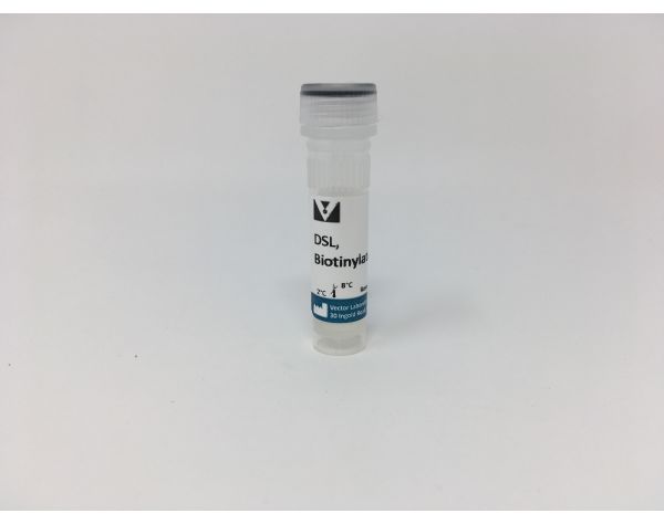 Datura Stramonium Lectin (DSL), Biotinylated