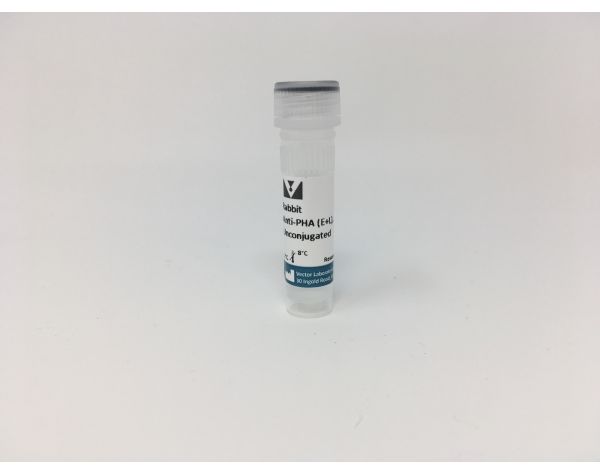 Rabbit Anti-Phaseolus Vulgaris Agglutinin (E+L), Unconjugated