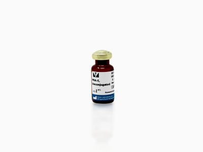Rabbit Anti-Phaseolus Vulgaris Agglutinin (E+L), Unconjugated